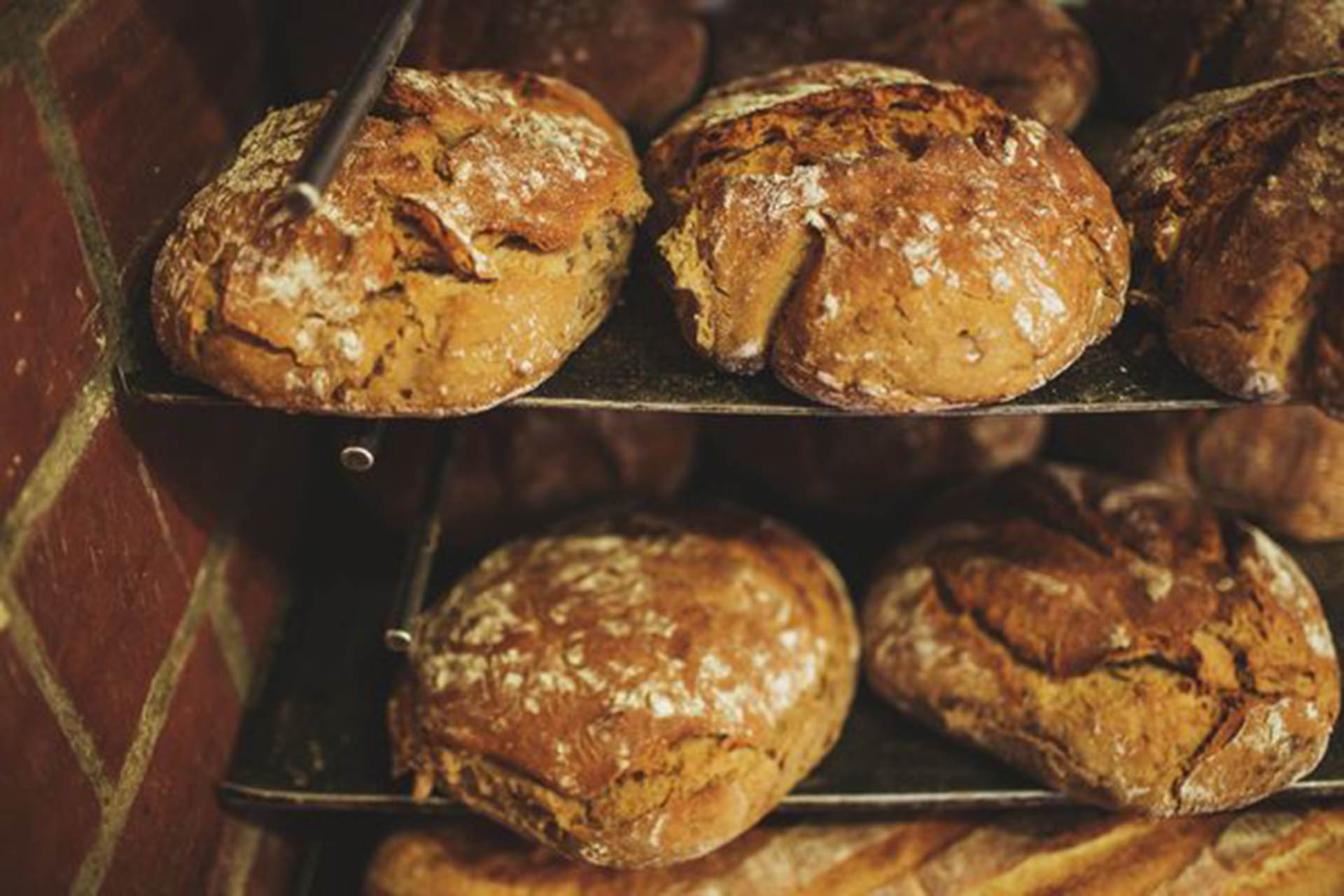 homemade Munich bread on racks